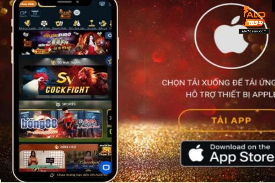 Nhà cái giải trí, cá cược trực tuyến